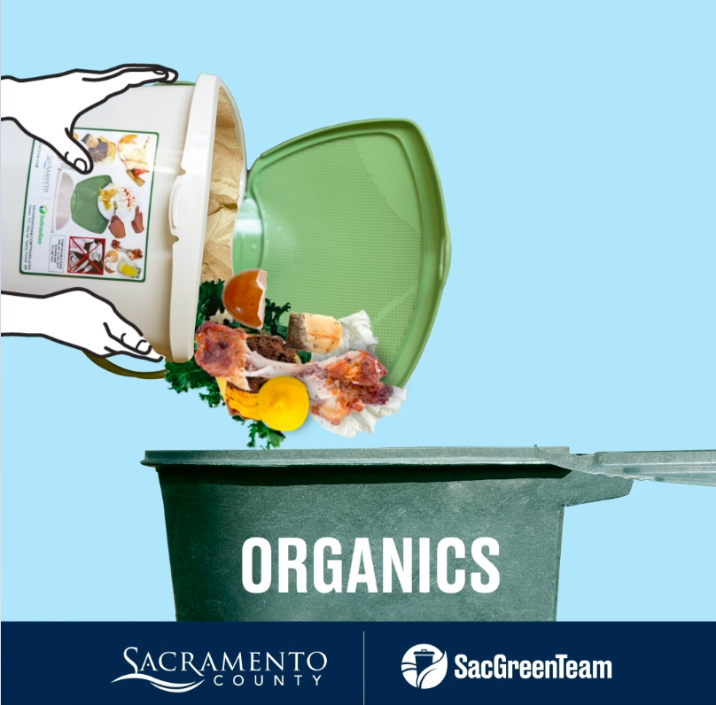 Weekly Curbside Organics Collection